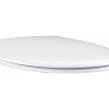 39493000 Bau Ceramic Сиденье для унитаза (с микролифтом), альпин-белый 100_100_1431879